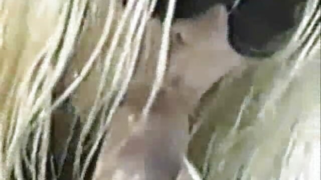 Casal alemão de primeira geração caseiro filme de sexo ao vivo pornô de HD